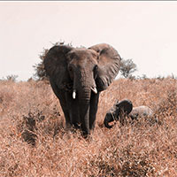 Lilian Nabora Creative Media