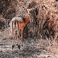 Lilian Nabora Creative Media