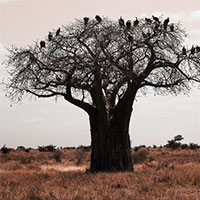 Lilian Nabora Creative Media