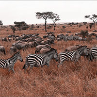 Lilian Nabora Creative Media