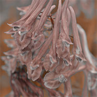 Lilian Nabora Creative Media