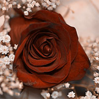 Lilian Nabora Creative Media