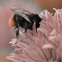 Lilian Nabora Creative Media