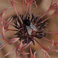 Lilian Nabora Creative Media