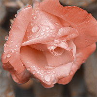 Lilian Nabora Creative Media