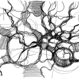  Dessin neurographique 