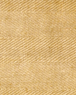 Le linceul et la passion