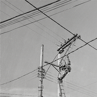 Phil Edengarden - Photographie