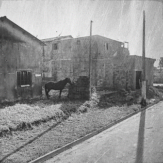 Phil Edengarden - Photographie