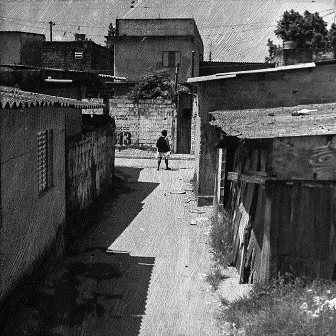 Phil Edengarden - Photographie