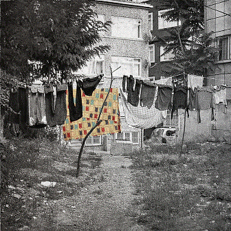 Phil Edengarden - Photographie