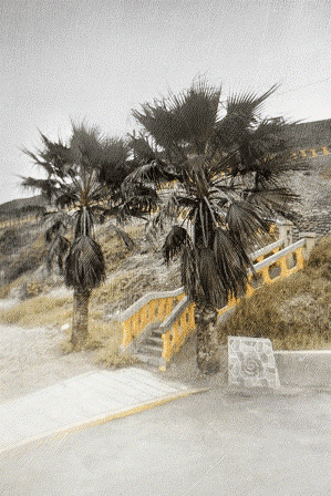 Phil Edengarden - Photographie