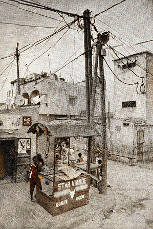 Phil Edengarden - Photographie