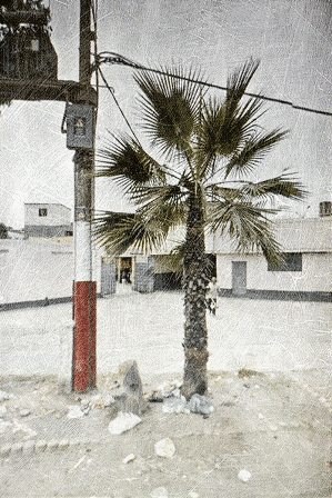 Phil Edengarden - Photographie