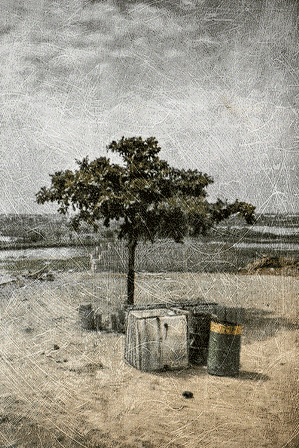 Phil Edengarden - Photographie