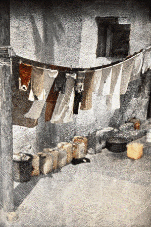 Phil Edengarden - Photographie